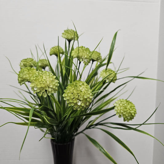 22" Mixed Dahlia Bush