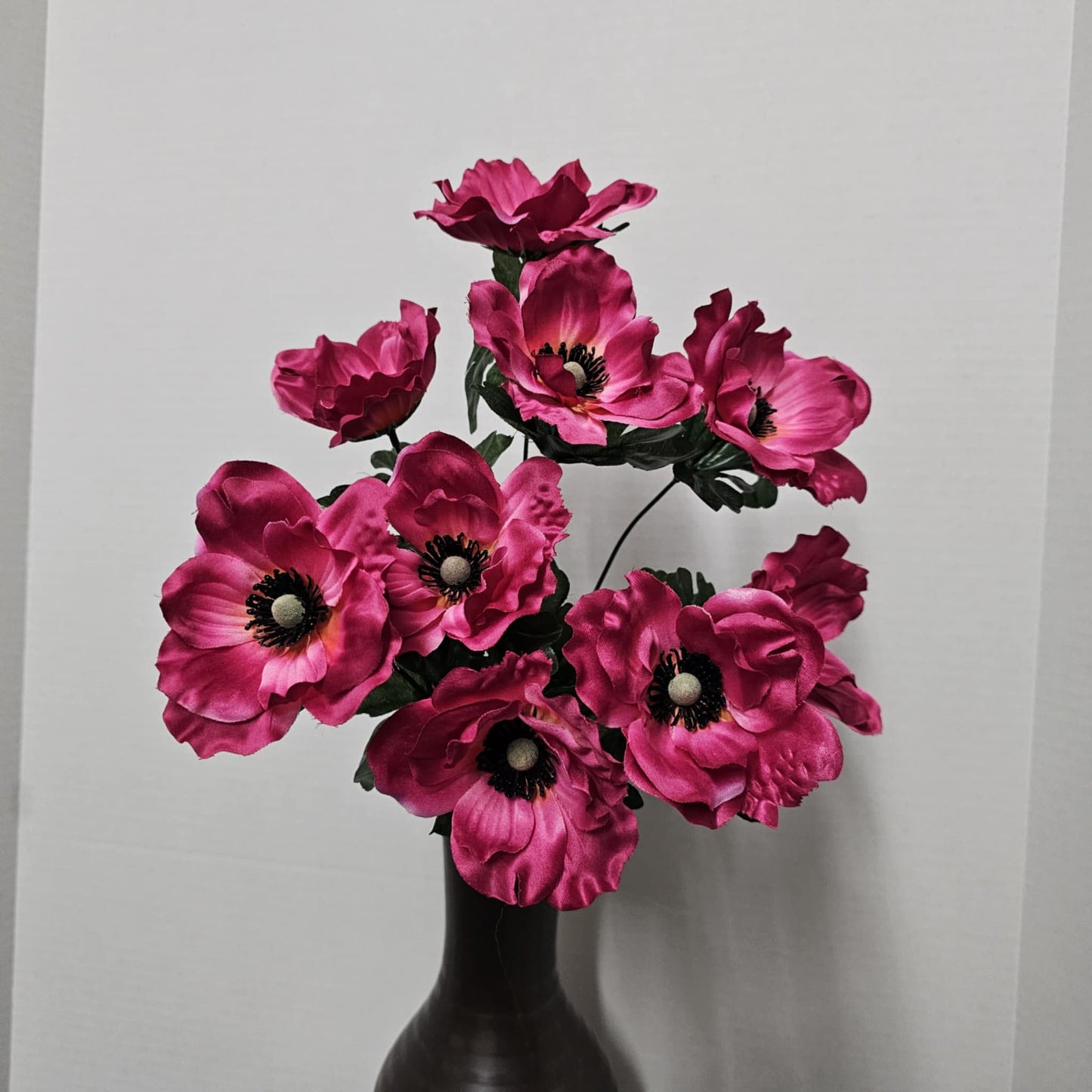 208029-BEAUTY - Anemone Bush