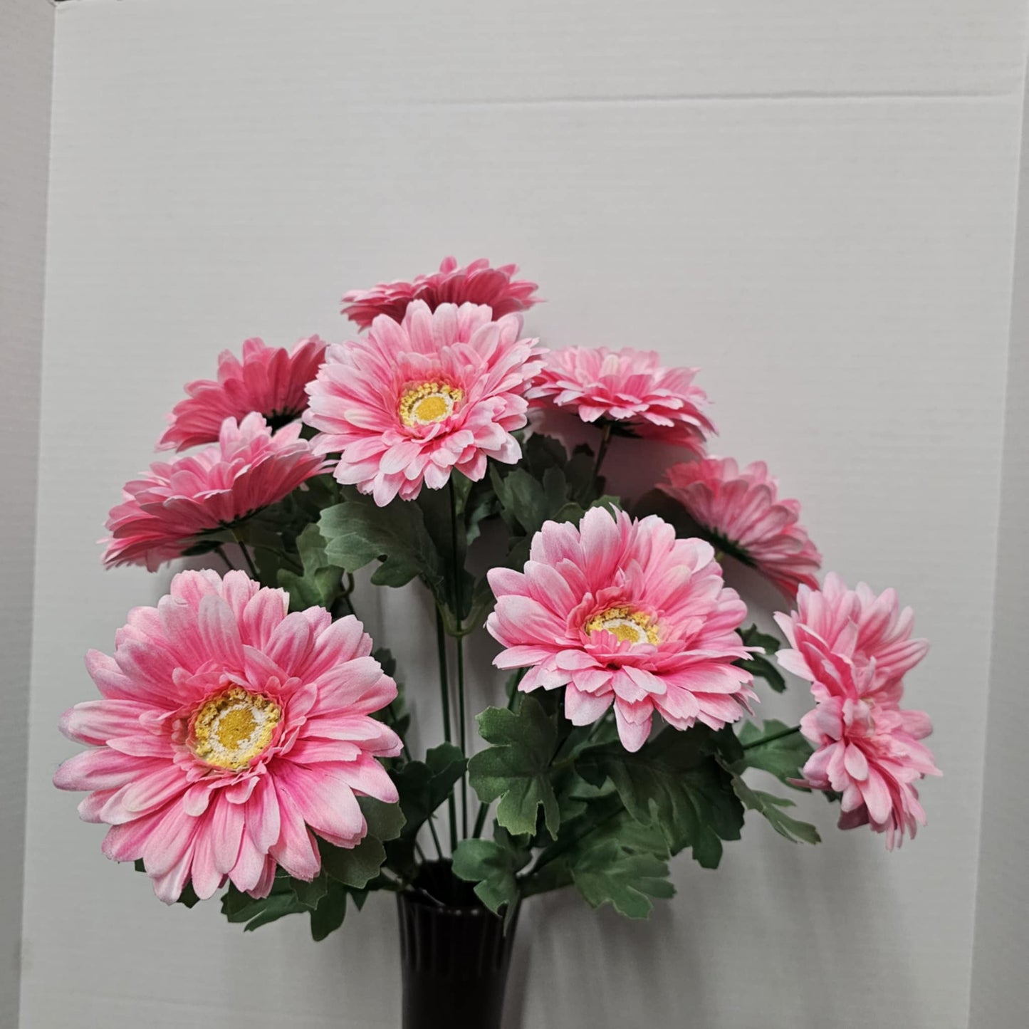 85006-PK - 20" Gerbera Bush