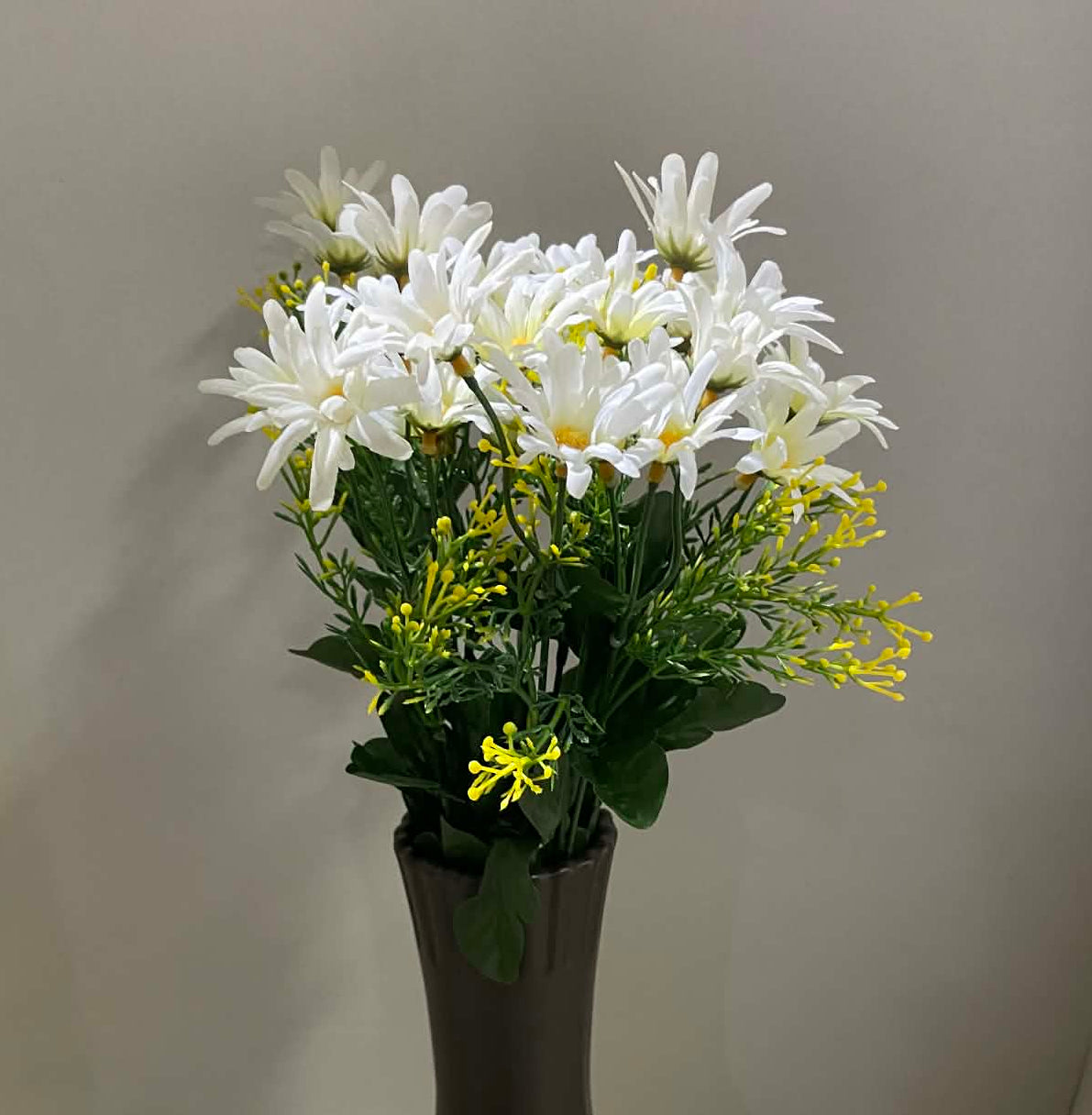 B20500 YLCM- Common Daisy