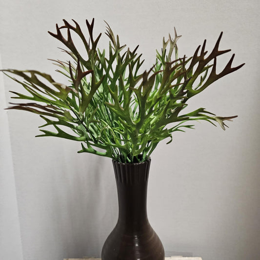 19.5" Deer Antler Plant