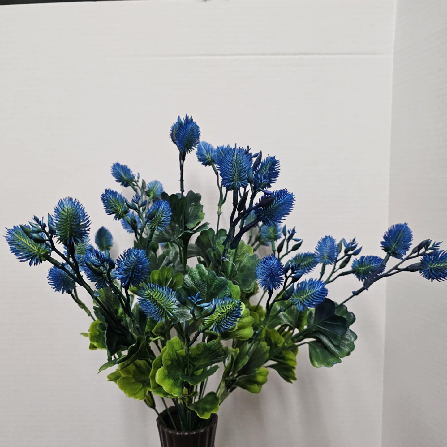 21.65" Cockle Bur Bush