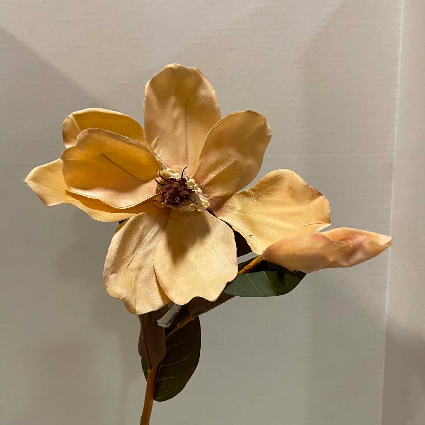 CRB12420/YL-BEIGE - 36" Magnolia Spray