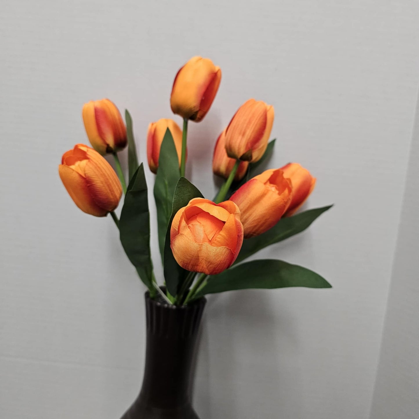GPB25396-OR/RD - 16" Tulip Bush