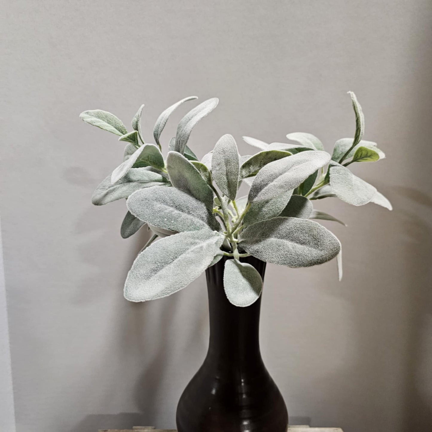 12" Lambs Ear Bundle