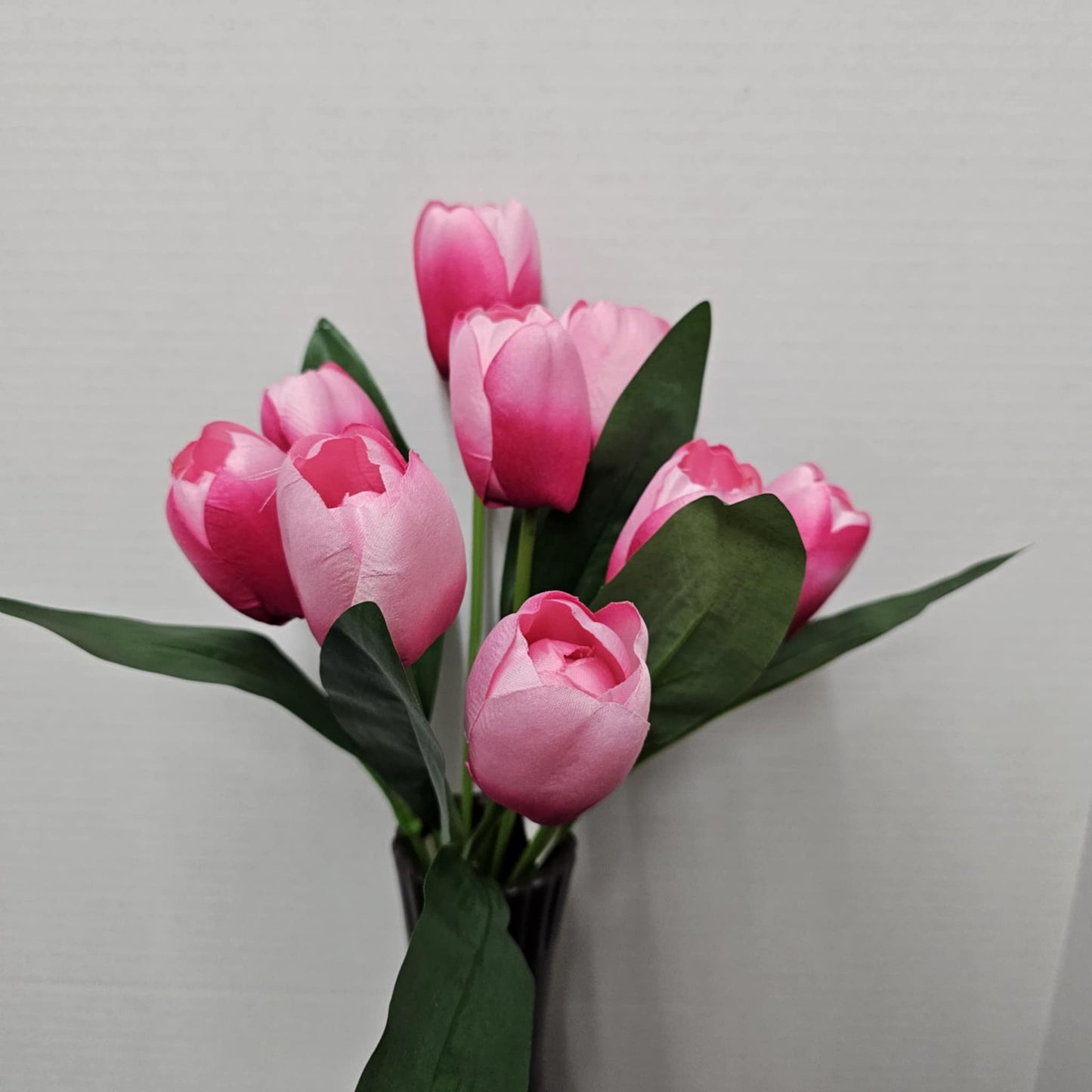 GPB25396-PK/BT - 16" Tulip Bush