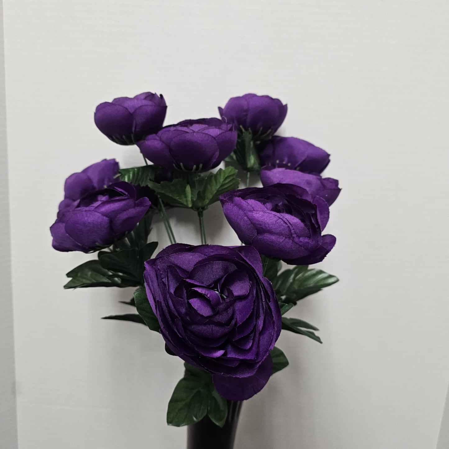 Ranunculus Bush