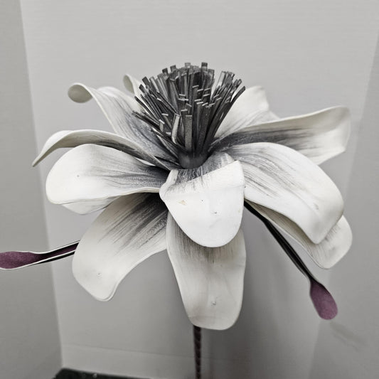 Exotic Magnolia