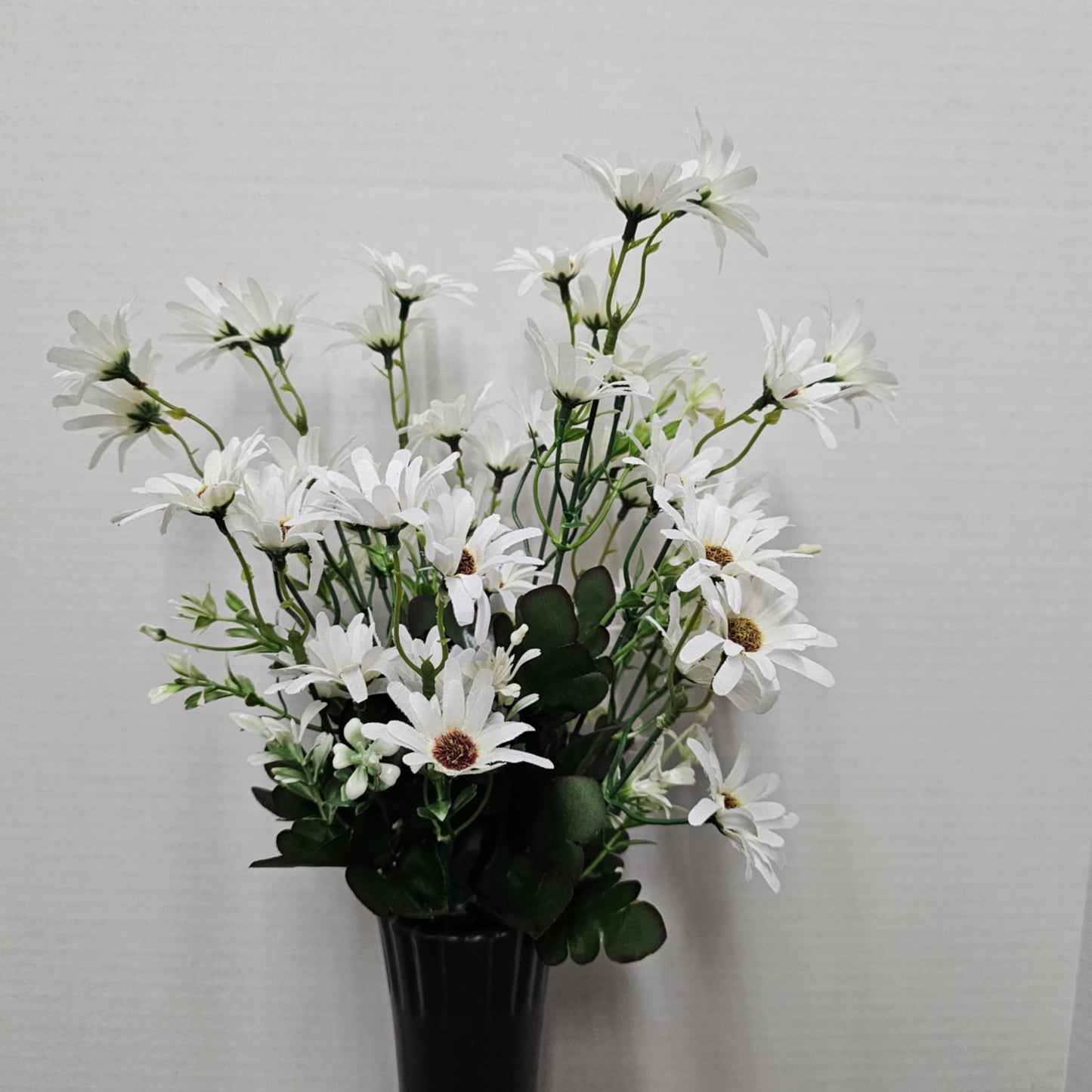 19" Mini Daisy Bush