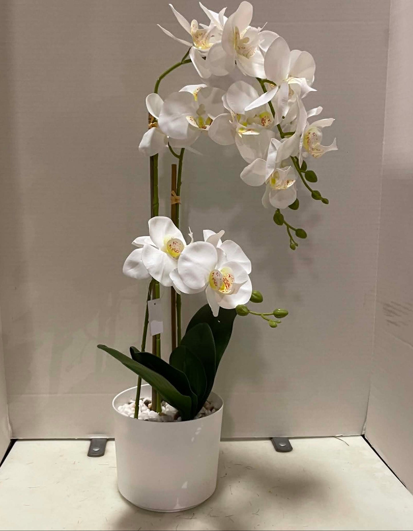 85625-WT - 32" Orchid in Pot
