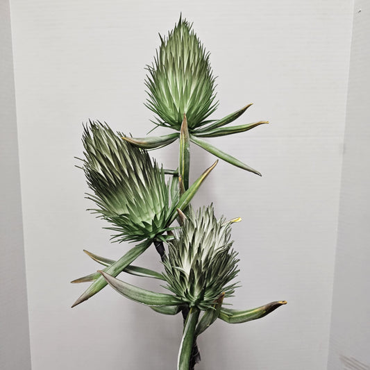 34" Foam Protea Spray