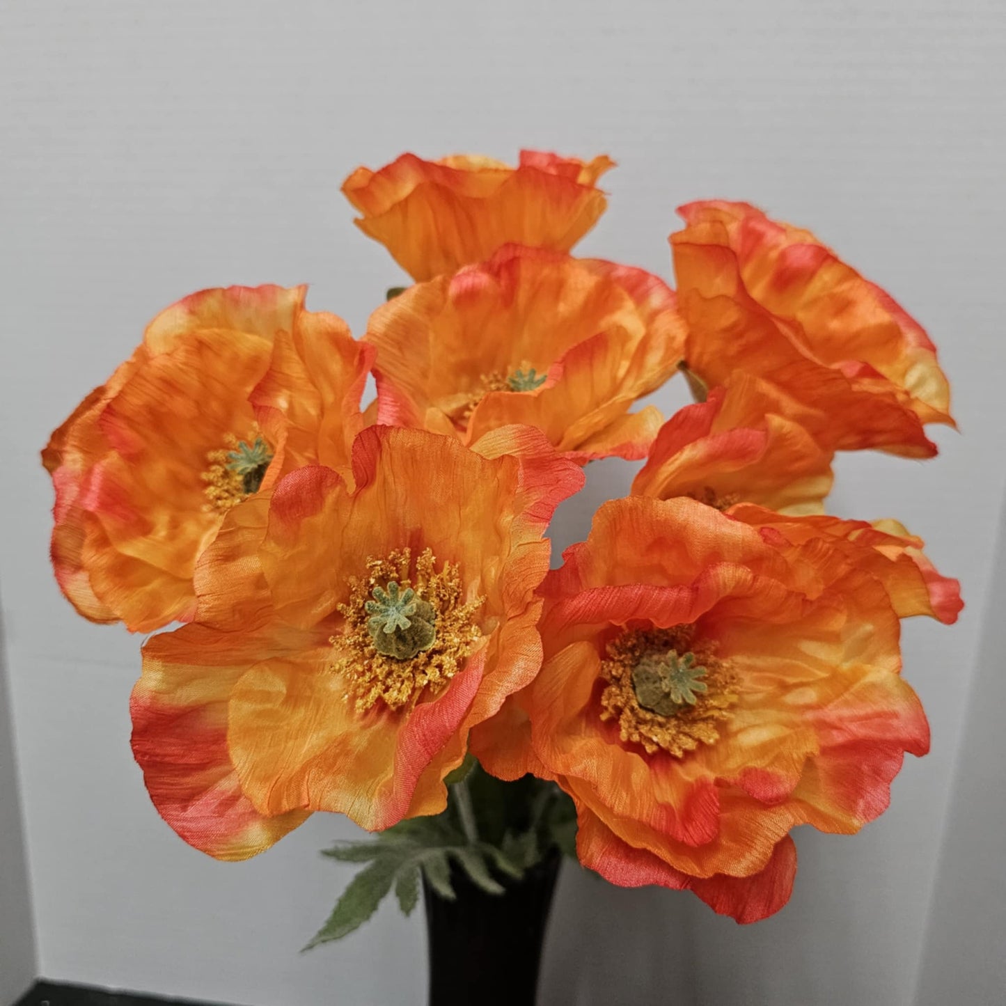 19" Poppy Bush