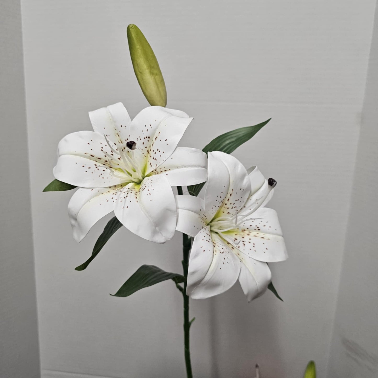 28" Tiger Lily