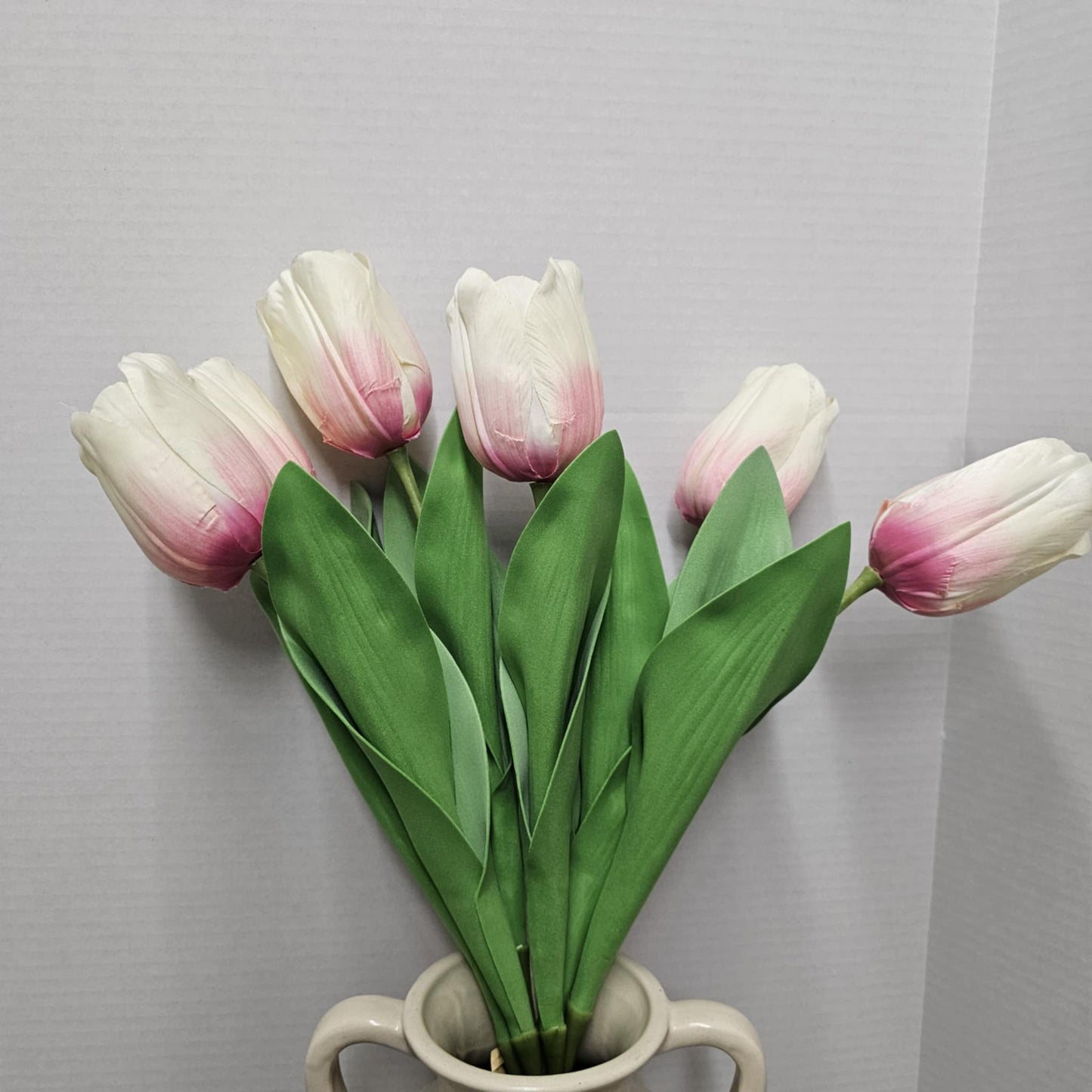 26" Tulip Bundle