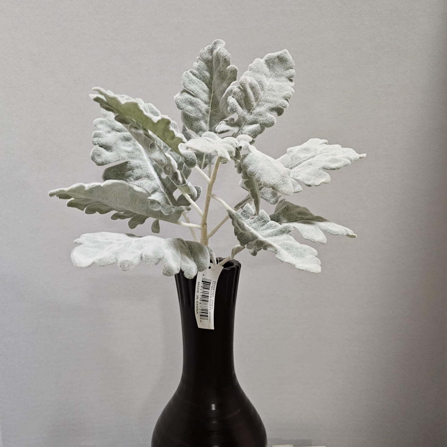 17" Miller Dusty Spray