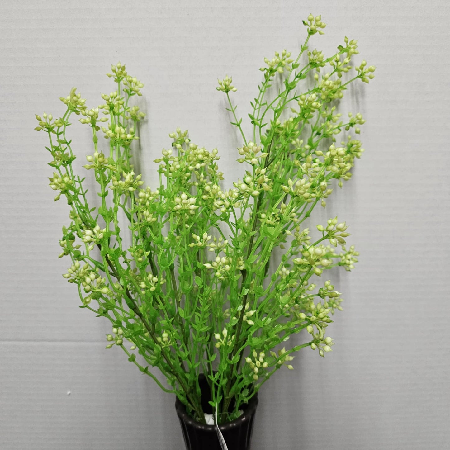 81581-CR - 21" Eucalyptus Seeds Bush