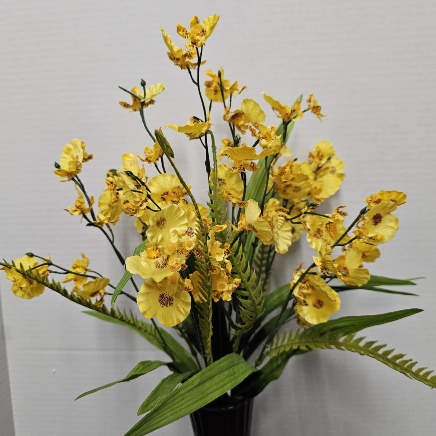 Oncidium Bush
