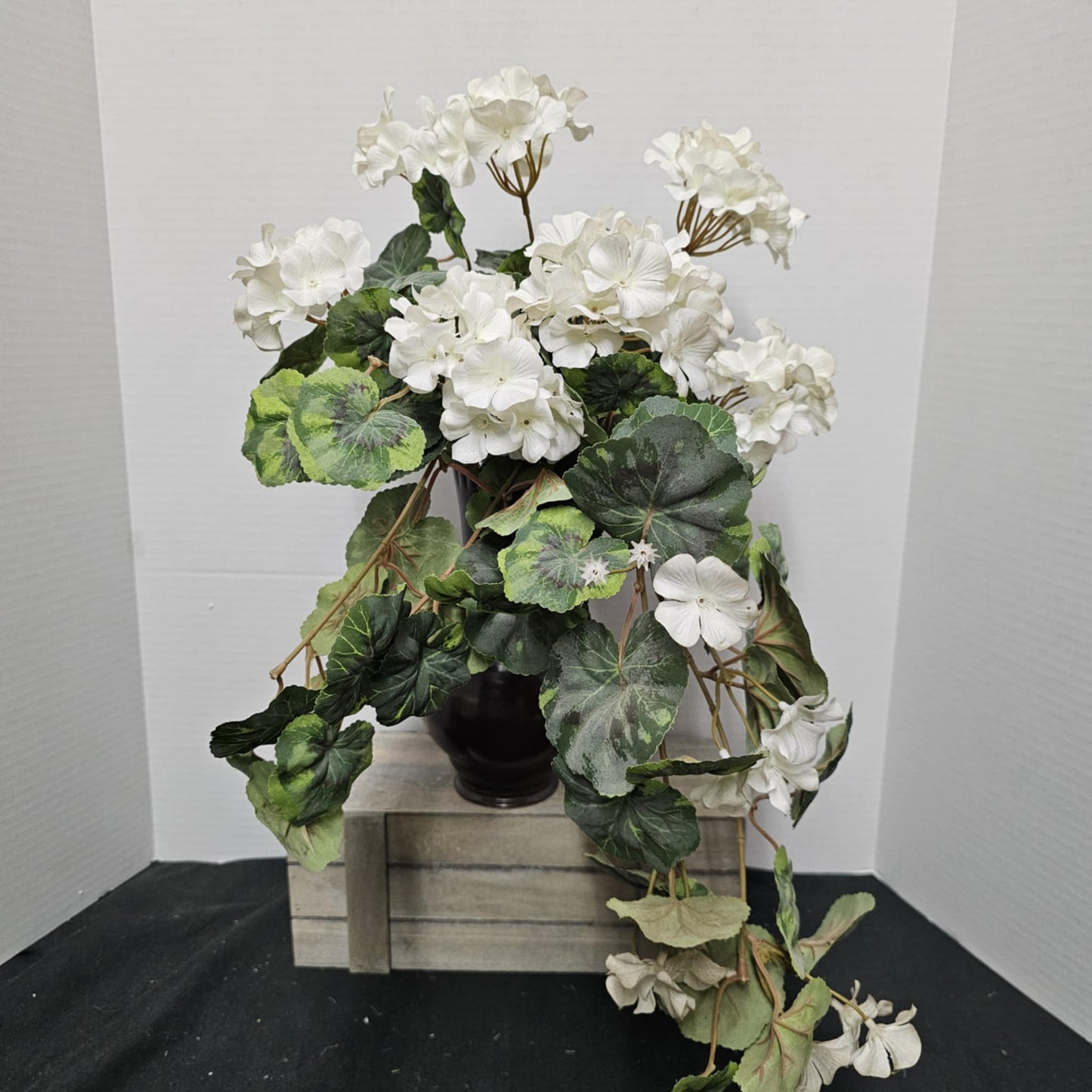 Geranium Hanging Bush