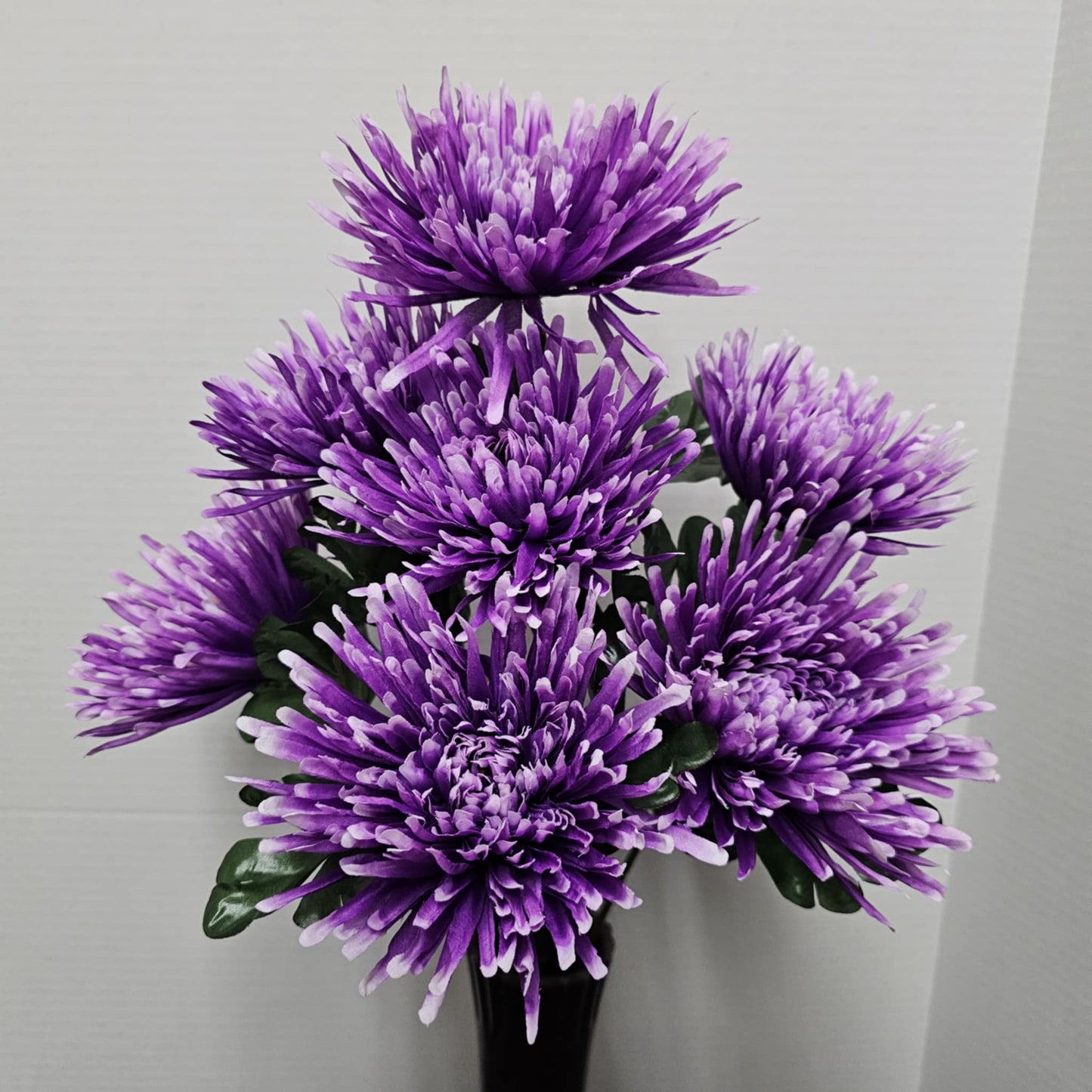 172095LILAC - 24" Fuji Mum Bush