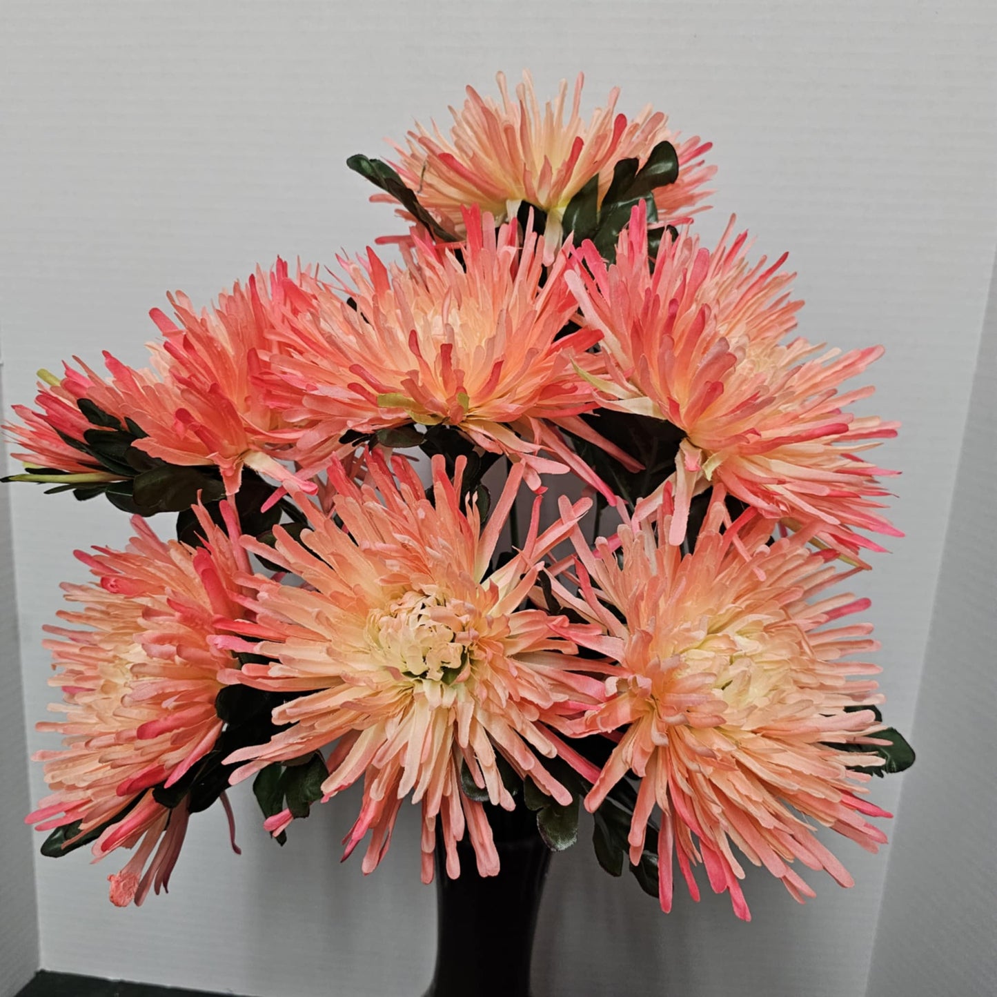172095COR - 24" Fuji Mum Bush