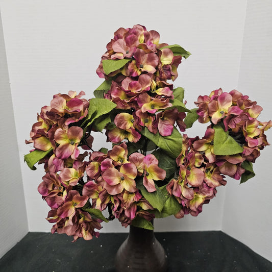 Satin Hydrangea Bush