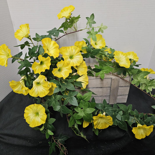 26" Morning Glory Hanging Bush