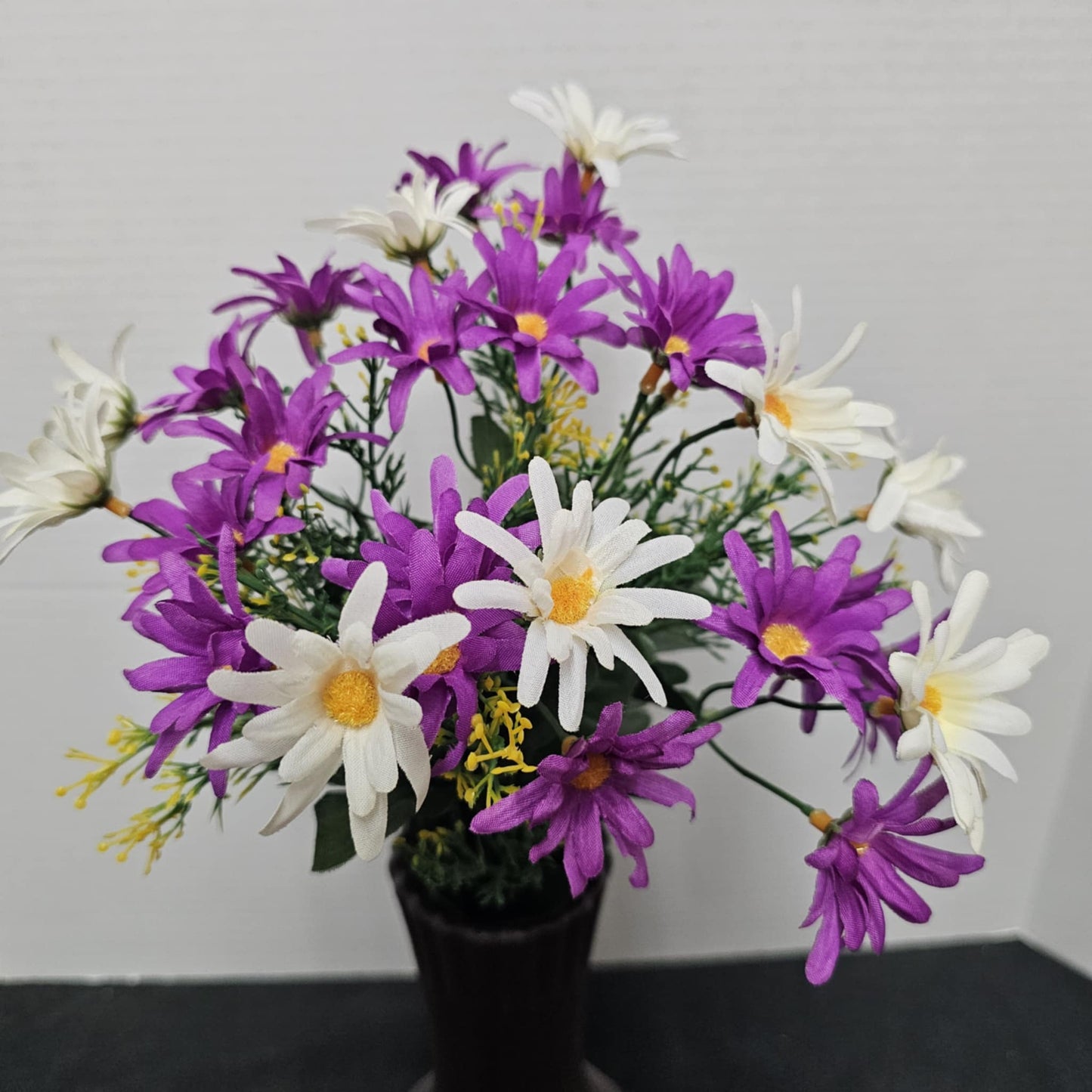 B20500 CM/PU - Common Daisy