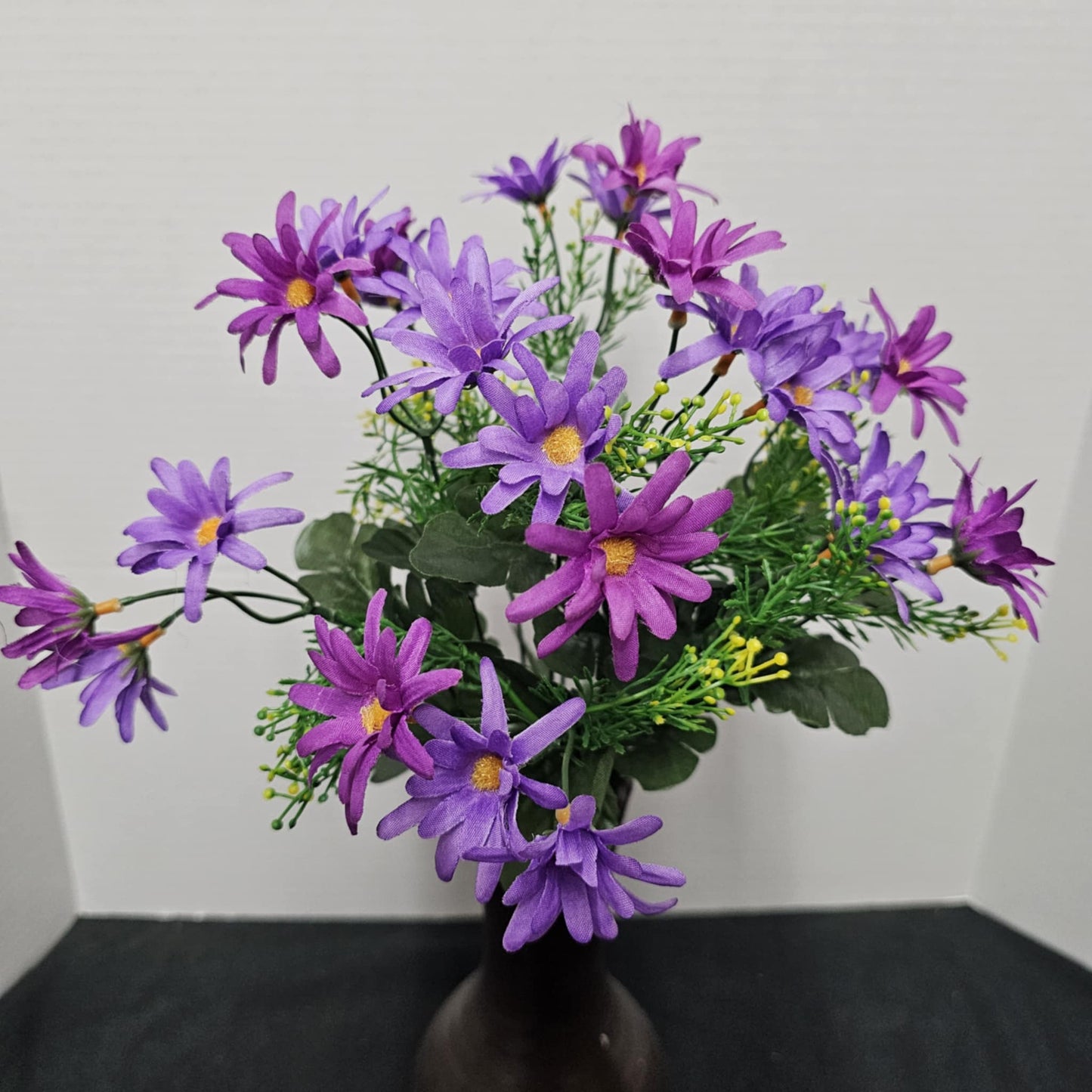 B20500 PU/LV - Common Daisy