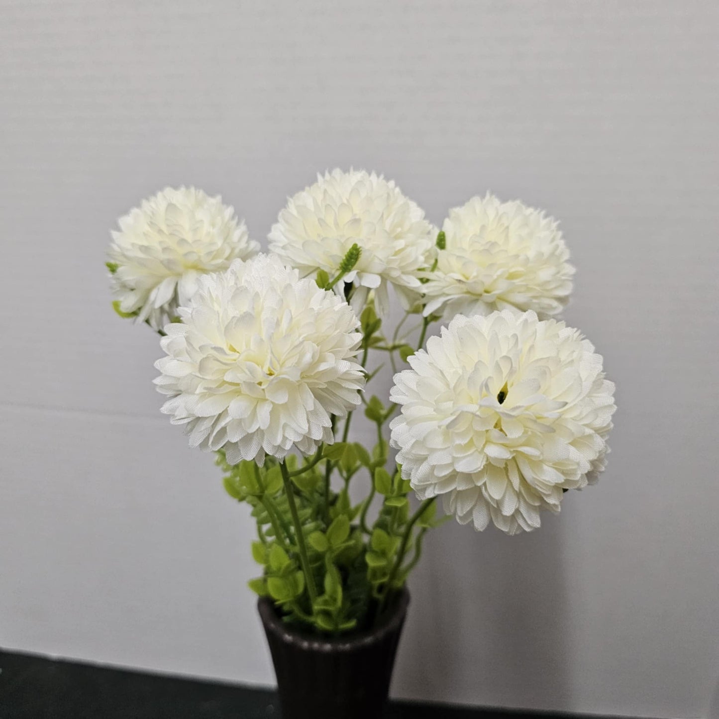 Chrysanthemum