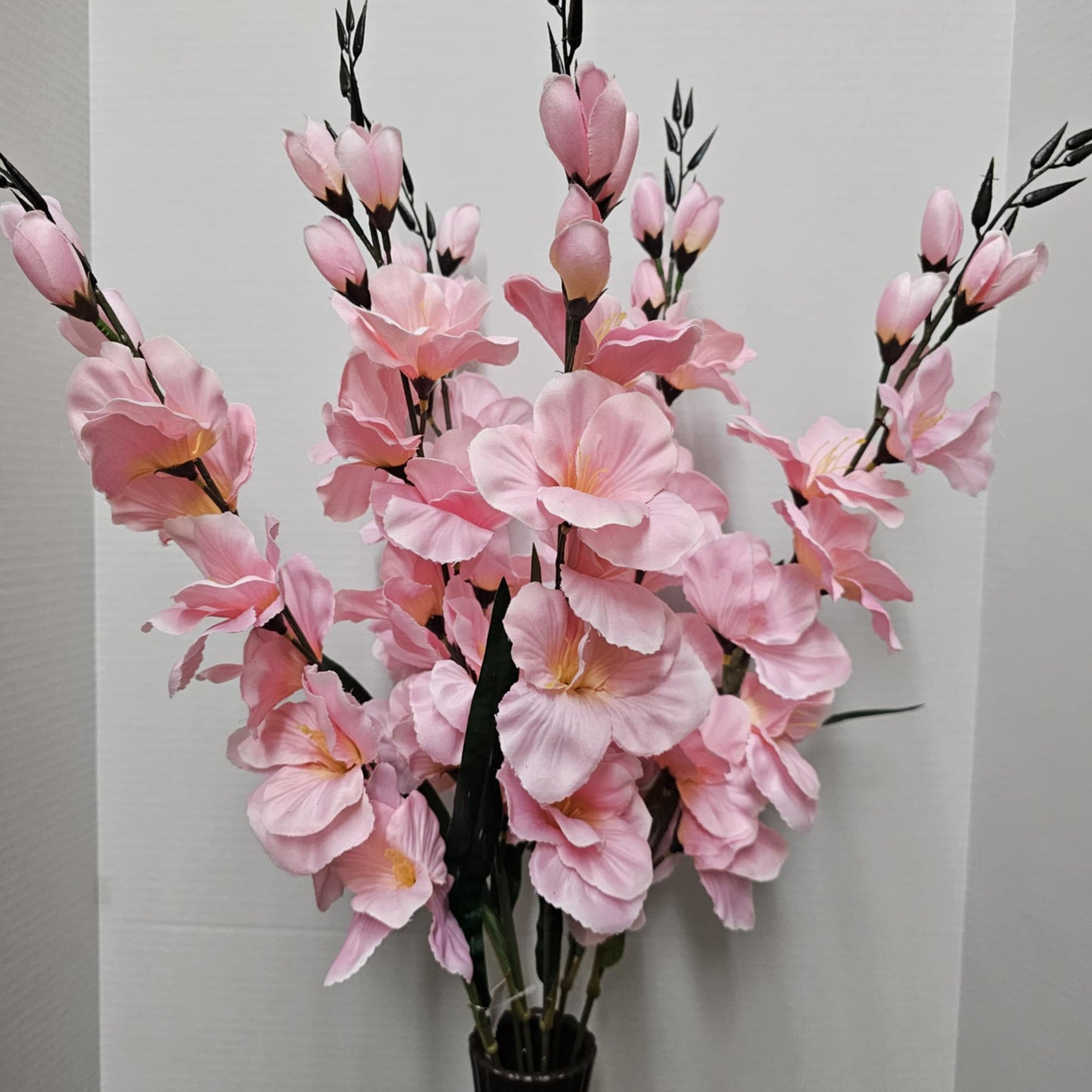 Large Gladiola Bush