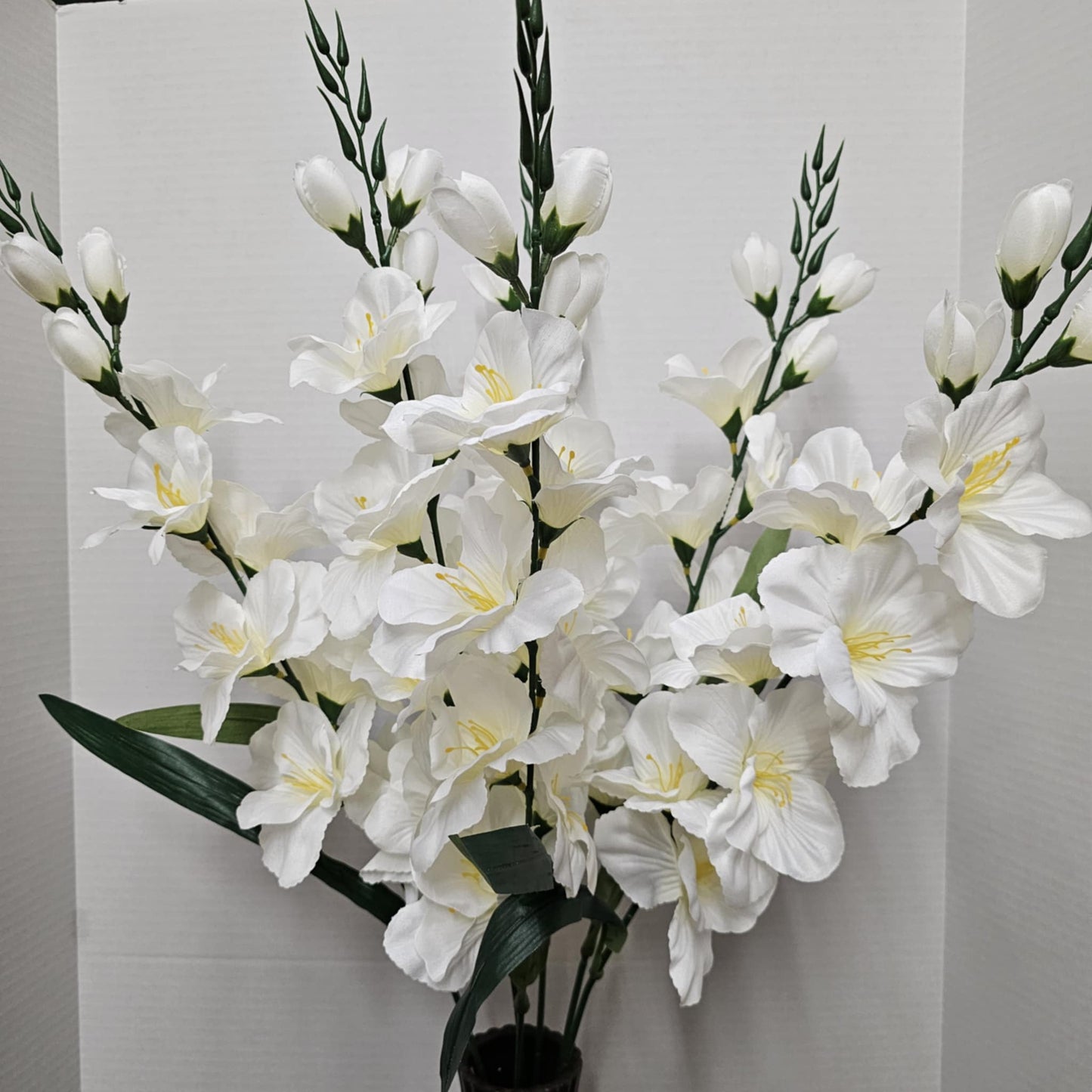 Large Gladiola Bush