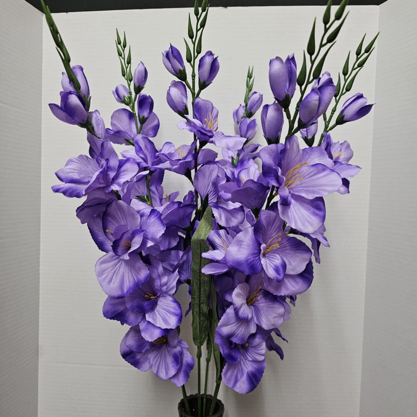 Large Gladiola Bush