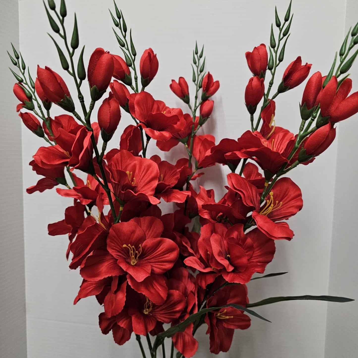 Large Gladiola Bush