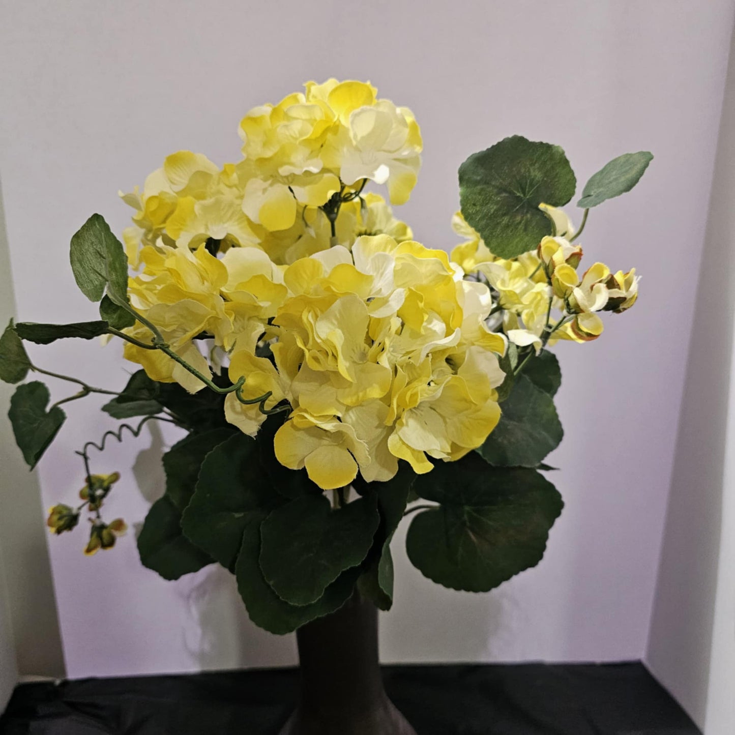 Geranium Flower Bush