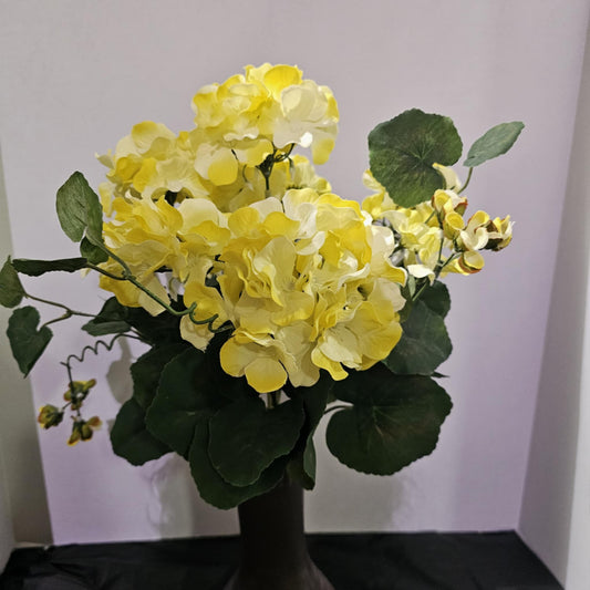 Geranium Flower Bush