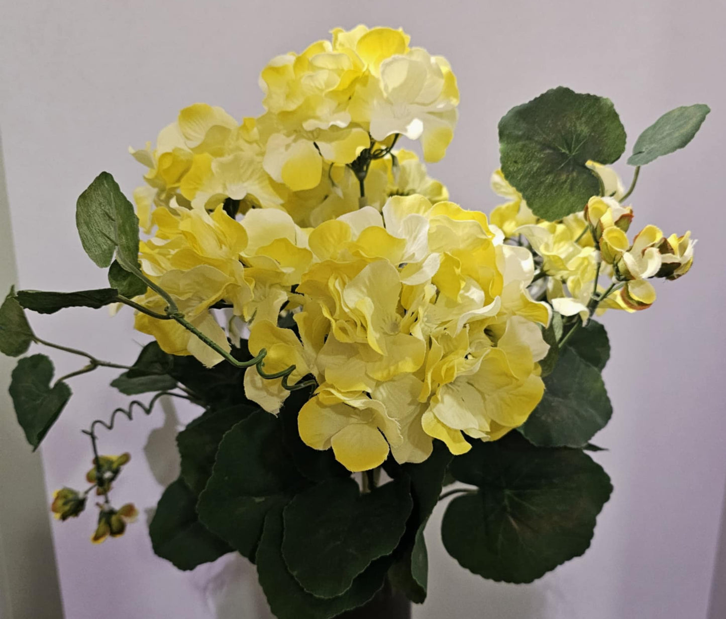 GPB0314-YEL - Geranium Flower Bush
