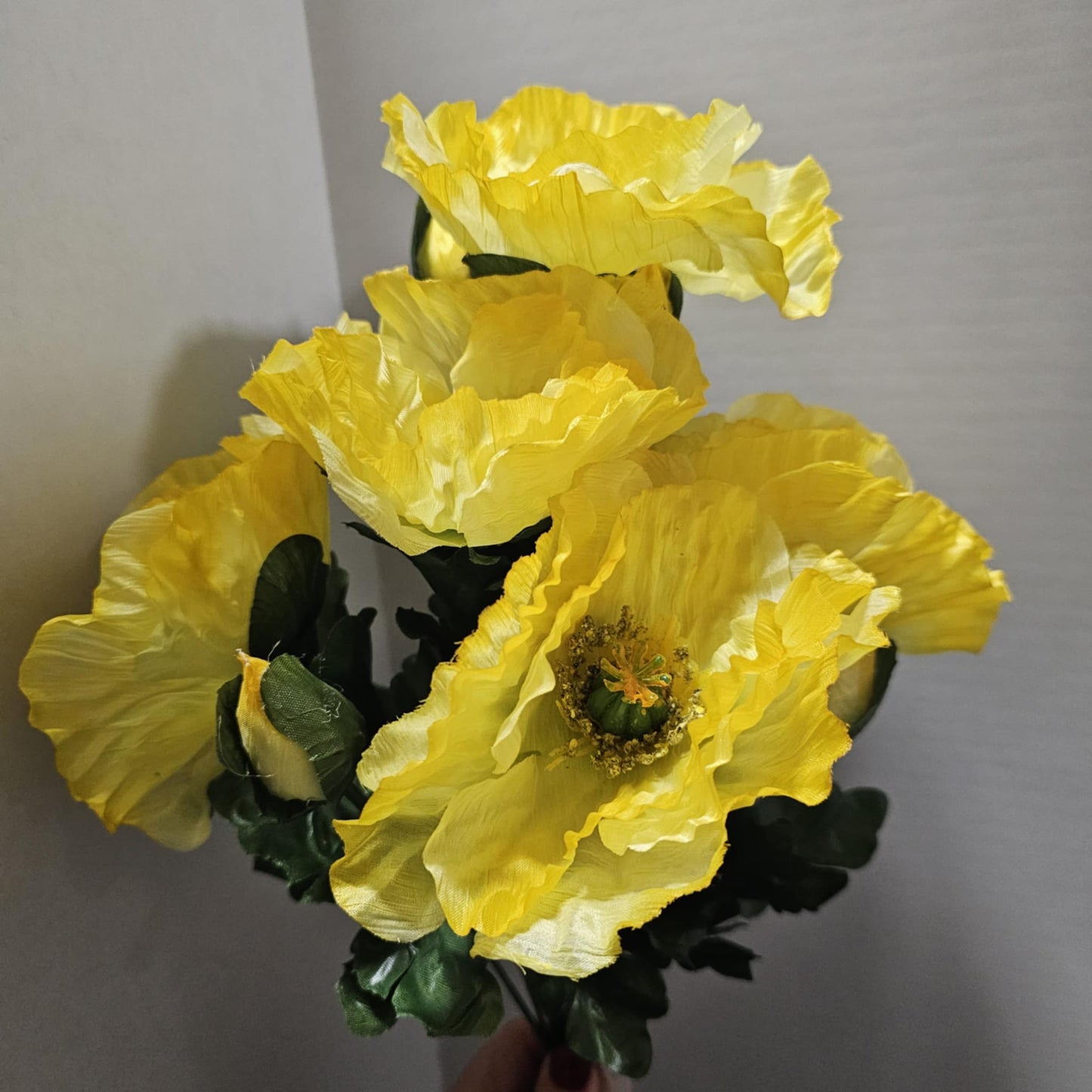 208014-YELLOW - Poppy Bush