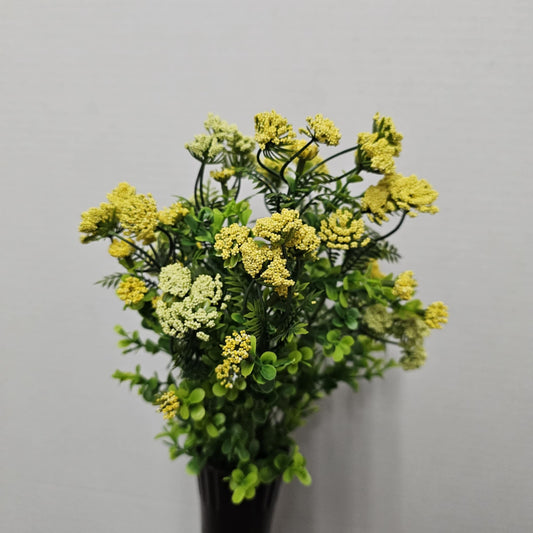 19" Queen Ann Lace Bush