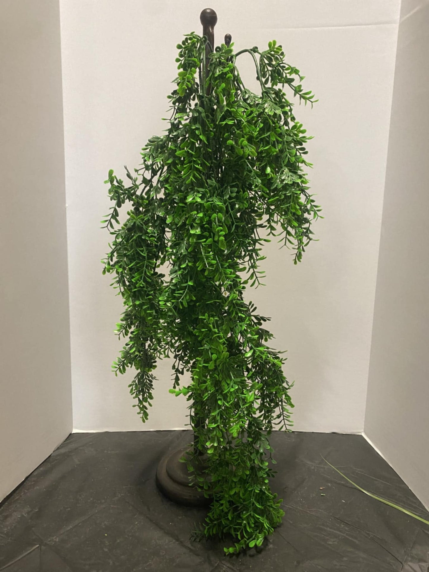 Boxwood Hanging Bush