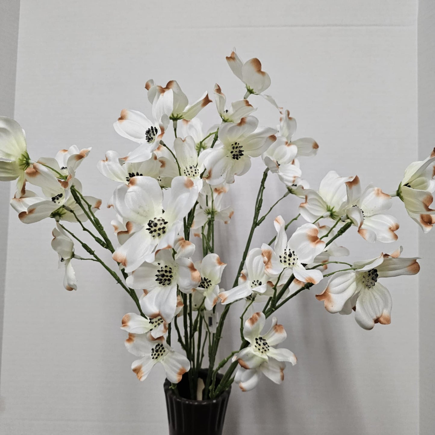 22" Dogwood Bush