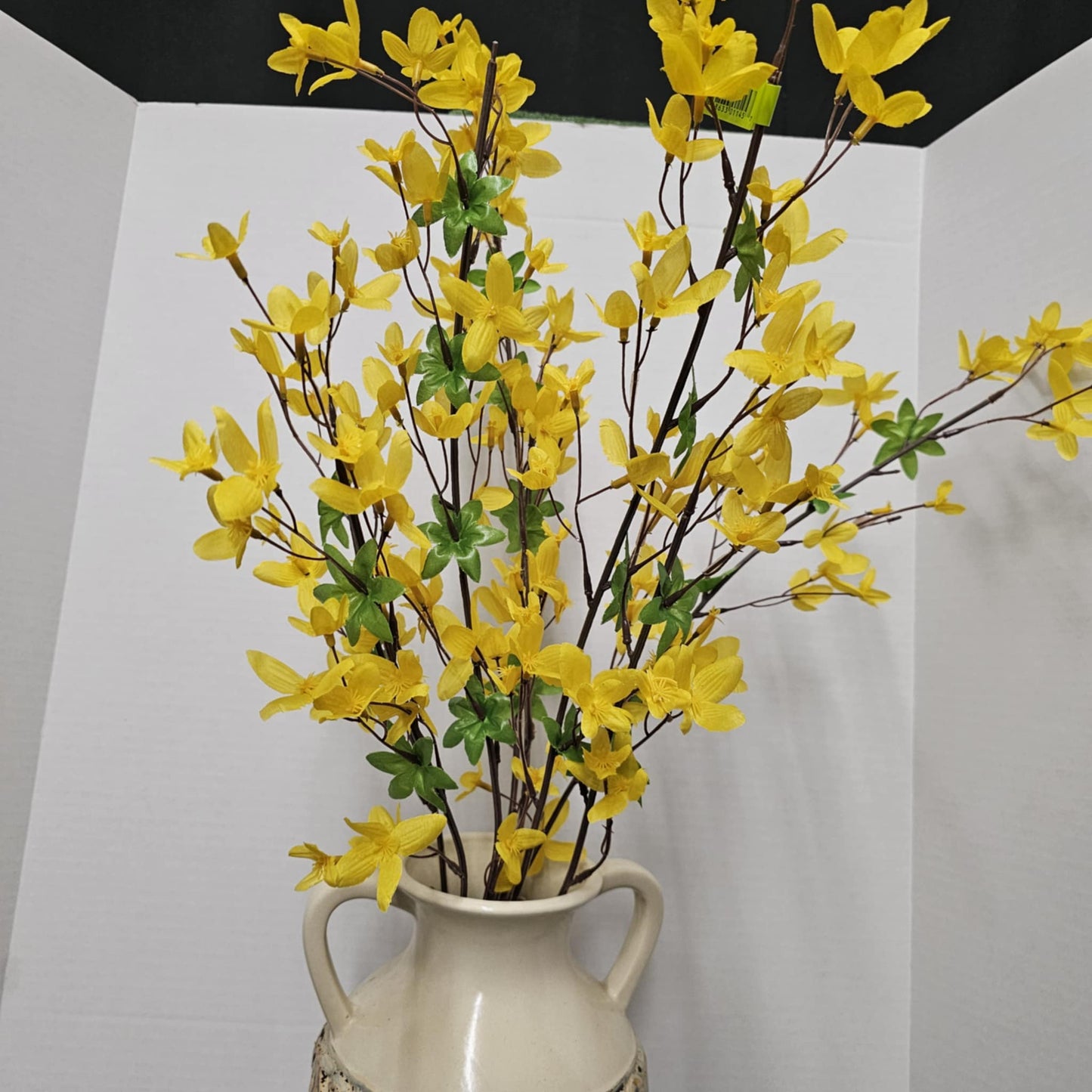 Forsythia Bush
