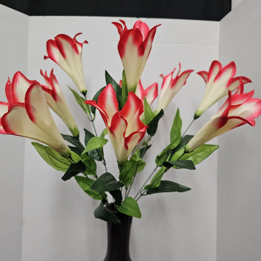 Color Fast Trumpet Lily Bush