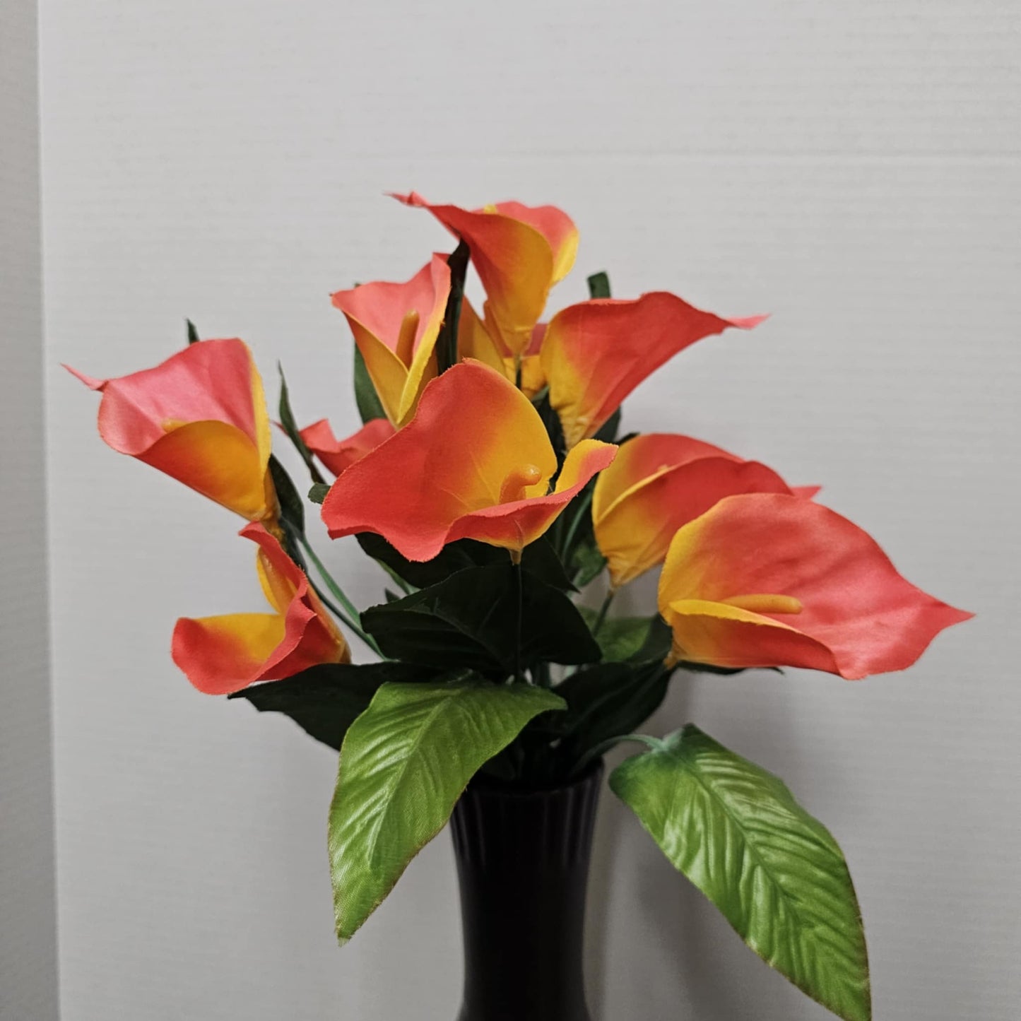 Calla Lily Bush