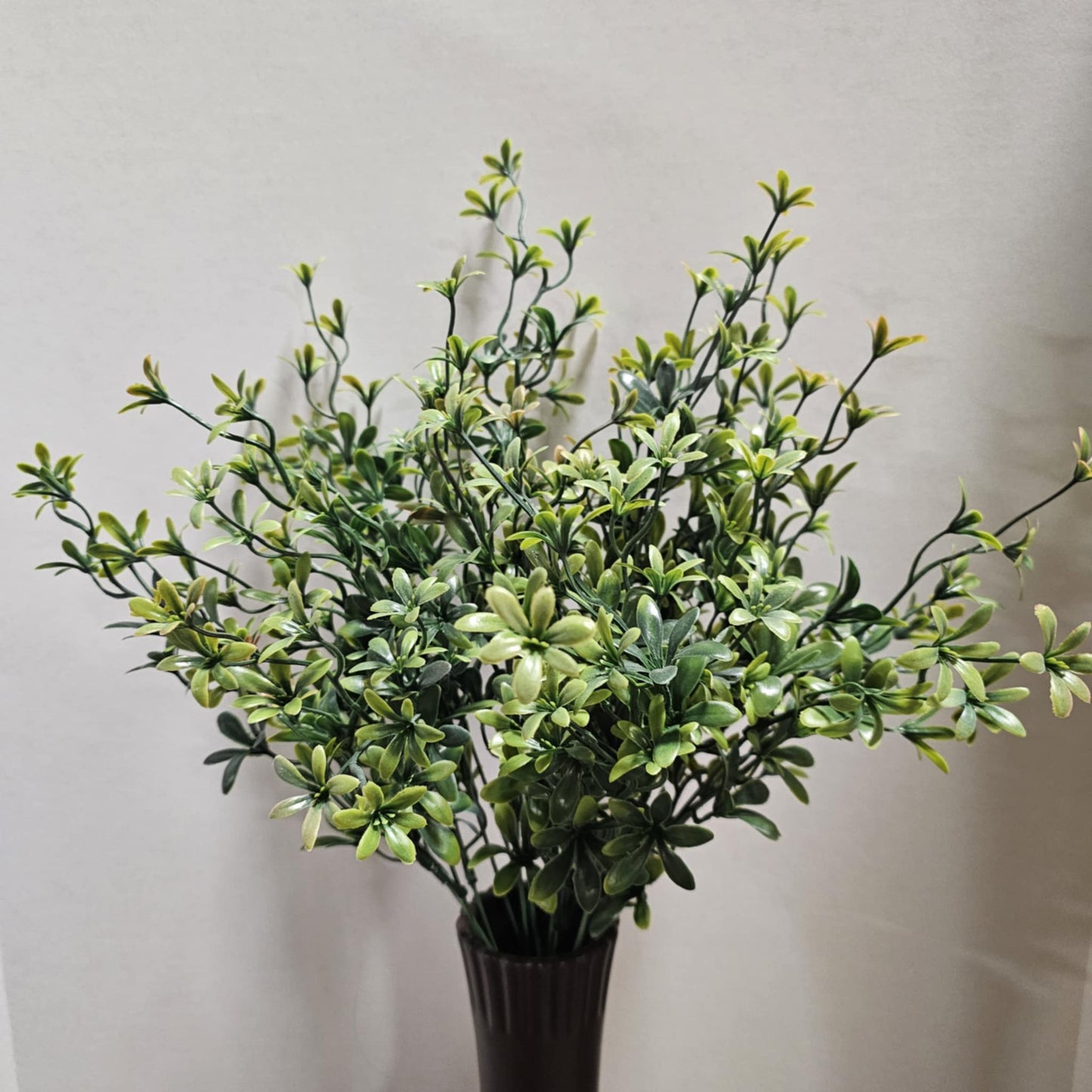 22.5" Stone Crop Bush