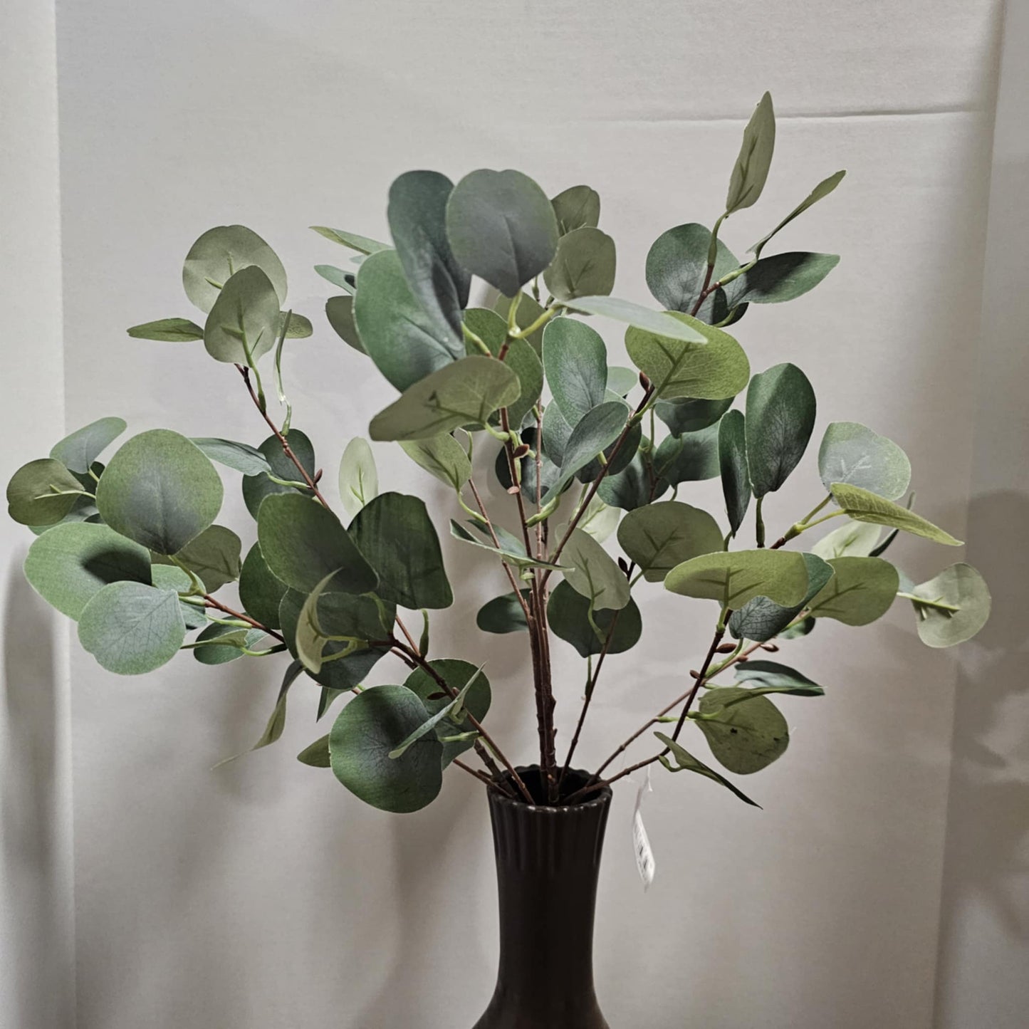 22" Silver Dollar Eucalyptus Bush