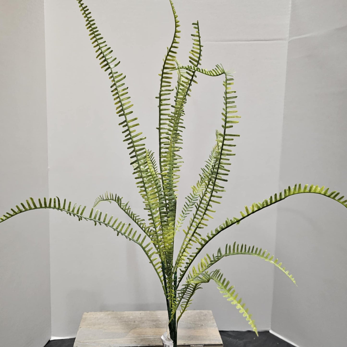 43" Fern Spray