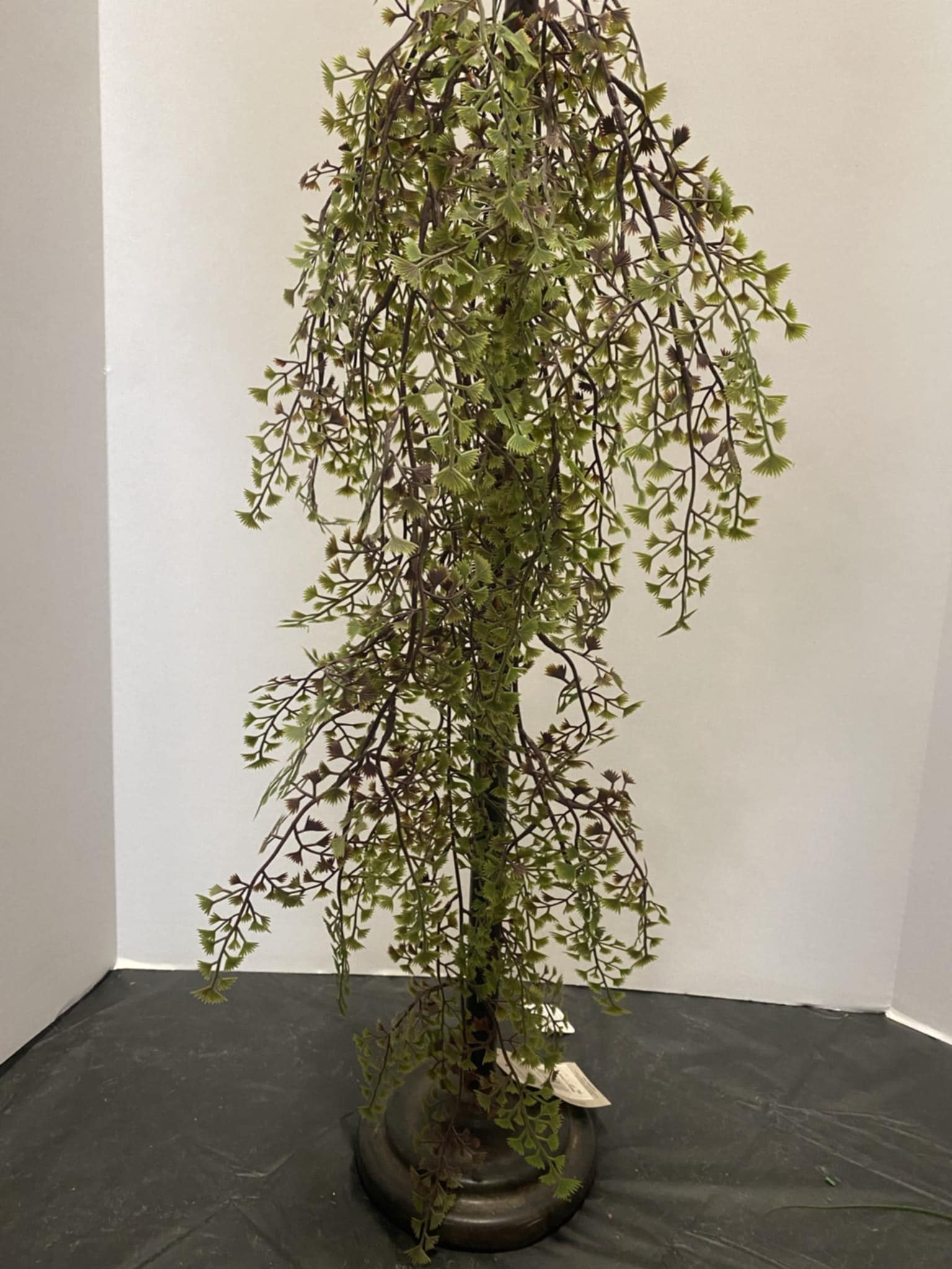 hanging plant looks like hair 34" Maiden Hair Fern Hanging Bush