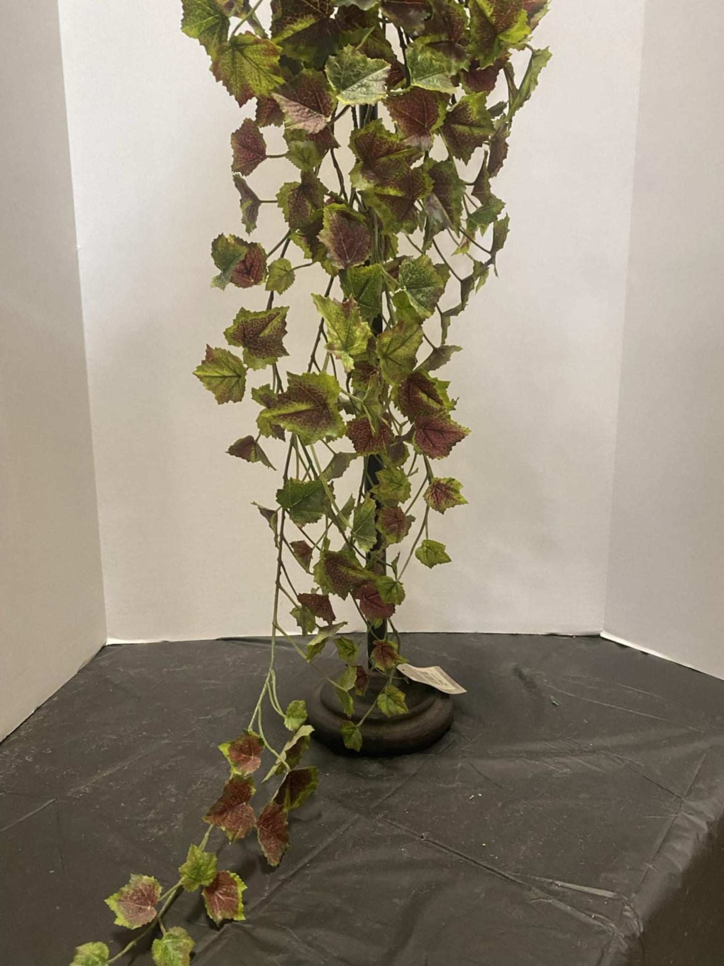 Grape Leaves Hanging Vine