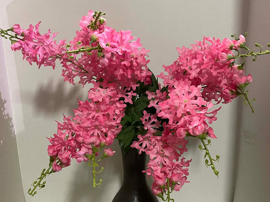 B21408-PK - Delphinium