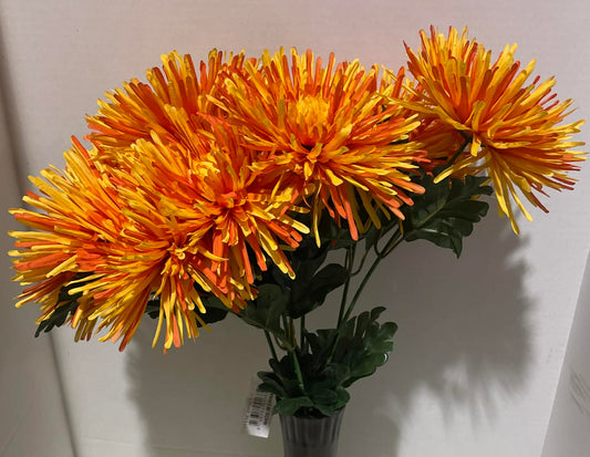 GPB6318-OR/YW - Mum Bush